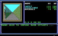 Secret of the Silver Blades screenshot #5