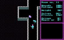 Temple of Apshai Trilogy screenshot #4