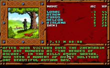 Treasures of the Savage Frontier screenshot #2