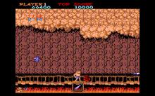 Ghosts 'n Goblins screenshot #15