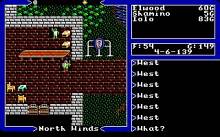 Ultima 5: Warriors of Destiny screenshot #1