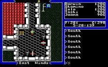 Ultima 5: Warriors of Destiny screenshot #11