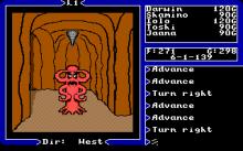 Ultima 5: Warriors of Destiny screenshot #12