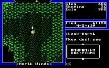 Ultima 5: Warriors of Destiny screenshot #16
