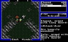 Ultima 5: Warriors of Destiny screenshot #3