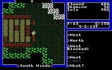 Ultima 5: Warriors of Destiny screenshot #4