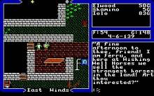Ultima 5: Warriors of Destiny screenshot #5