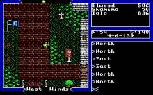 Ultima 5: Warriors of Destiny screenshot #7