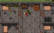 Ultima 7: Part Two - Serpent Isle screenshot #14