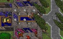 Ultima 7: The Black Gate screenshot #10