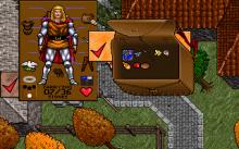 Ultima 7: The Black Gate screenshot #12