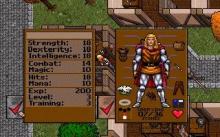 Ultima 7: The Black Gate screenshot #8