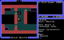 Ultima IV: Quest of The Avatar VGA screenshot #10