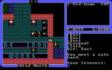 Ultima IV: Quest of The Avatar VGA screenshot #12