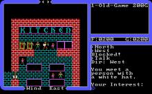 Ultima IV: Quest of The Avatar VGA screenshot #14