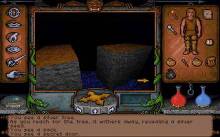 Ultima Underworld: The Stygian Abyss screenshot #1