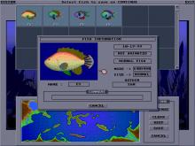 El-Fish screenshot #4