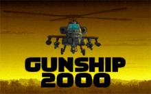 Gunship 2000 screenshot #2