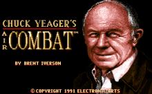 Chuck Yeager's Air Combat screenshot #2