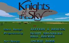 Knights of the Sky screenshot #2