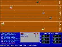 Race the Nags screenshot