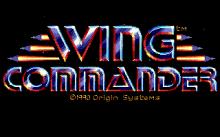 Wing Commander 1 screenshot #9