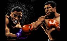 3D World Boxing screenshot
