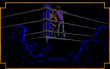 3D World Boxing screenshot #5