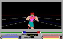 4D Boxing screenshot #10