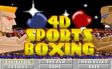 4D Boxing screenshot #5