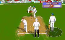 Allan Border's Cricket screenshot #1