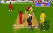 Allan Border's Cricket screenshot #6