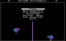Arcade Volleyball screenshot #2