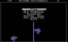 Arcade Volleyball screenshot #5