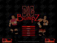 Big BumpZ screenshot #2