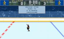 Brett Hull Hockey 95 screenshot #16