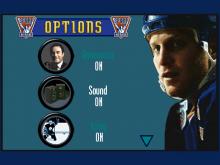 Brett Hull Hockey 95 screenshot #7