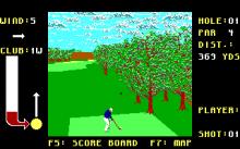 California Pro Golf screenshot #4