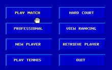 Center Court Tennis screenshot #2
