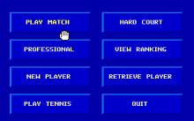 Center Court Tennis screenshot #2