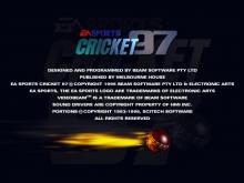 Cricket 97 screenshot #2