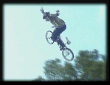 Dave Mirra Freestyle BMX screenshot #7