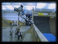 Dave Mirra Freestyle BMX screenshot #9