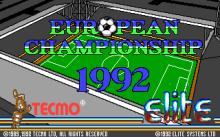 European Champions 1992 screenshot #6