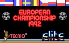 European Champions 1992 screenshot #7