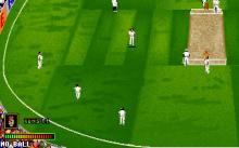 Ian Botham's Cricket screenshot #10