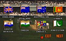 Ian Botham's Cricket screenshot #5
