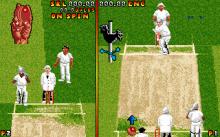 Ian Botham's Cricket screenshot #8