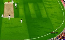Ian Botham's Cricket screenshot #9