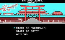 International Karate screenshot #7